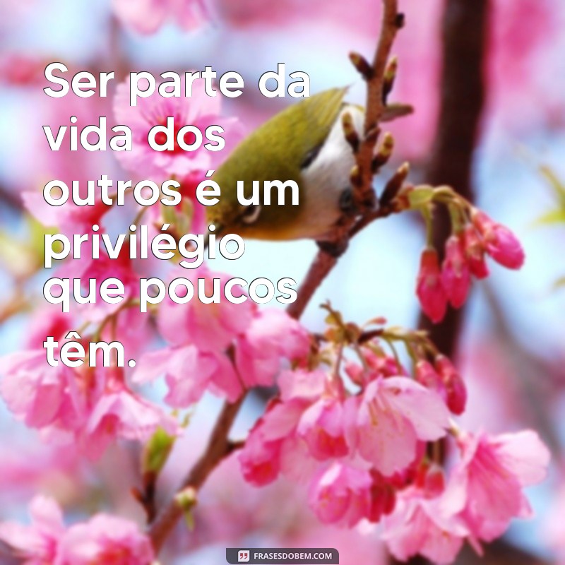 Frases Inspiradoras para Apreciar Aqueles que Cuidam da Vida dos Outros 