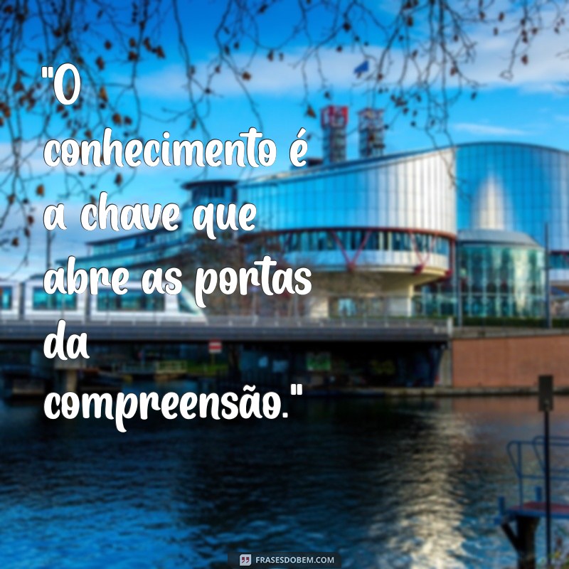 frases de einstein sobre conhecimento 