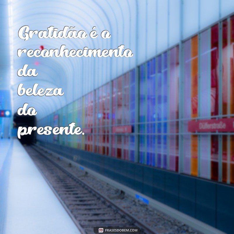 frases curta de agradecimento Gratidão é o reconhecimento da beleza do presente.