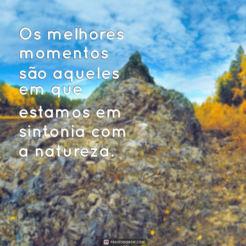 Frases Motivacionais para Inspirar Seus Dias na Praia 