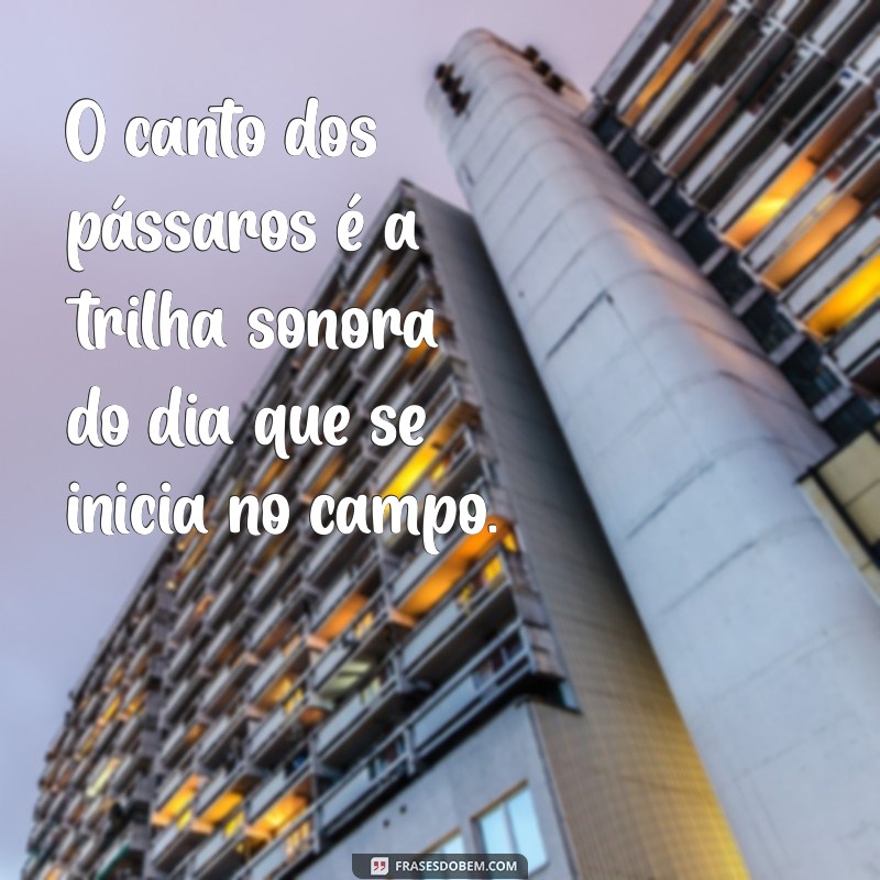 Descubra Inspirações: Frases Encantadoras sobre o Campo Rural 