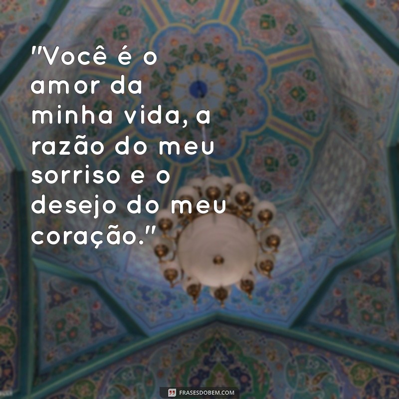 amor da vida e amor pra vida 