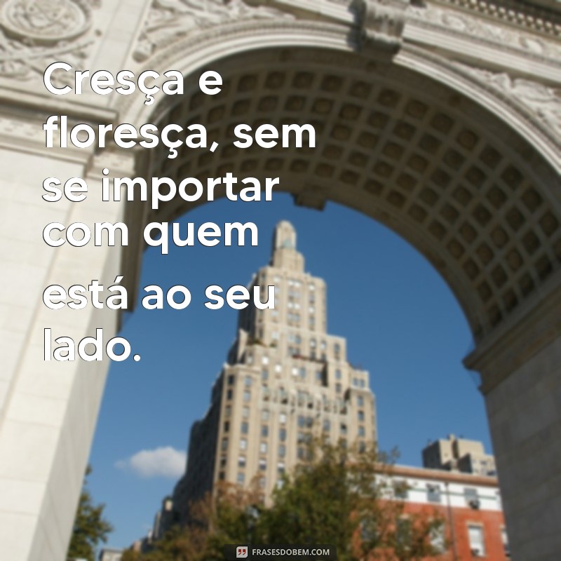 Frases Impactantes para Lidar com Pessoas Recalcadas: Inspire-se! 