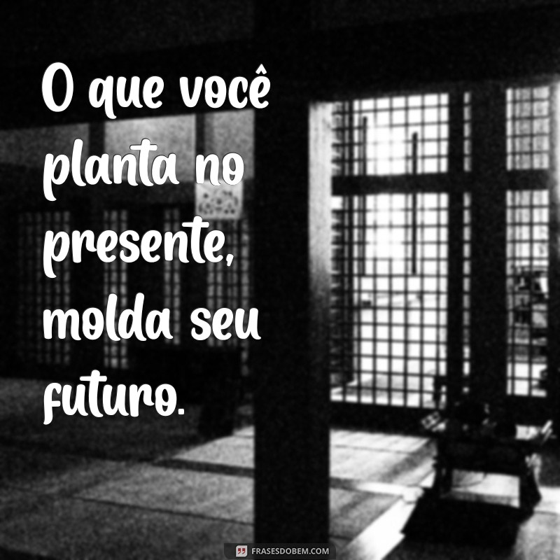 Frases Inspiradoras sobre Plantar e Colher: Reflexões para a Vida 