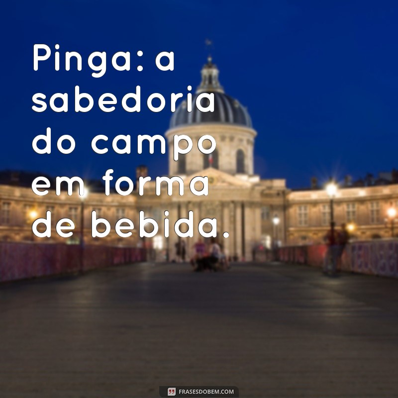 As Melhores Frases para Celebrar com Pinga: Inspiração e Alegria em Cada Gole 