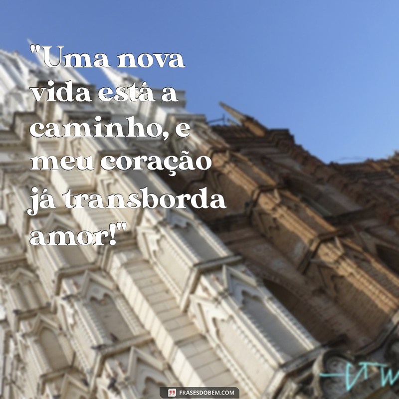 frases para contar gravidez 