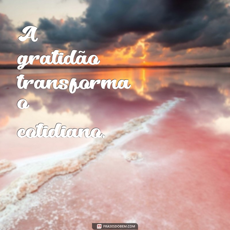 Frases Positivas Curtas para Inspirar o Seu Dia 