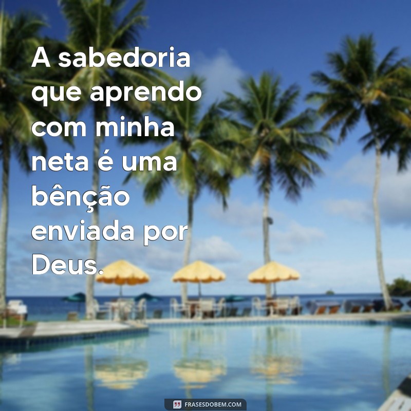 Minha Neta: O Presente de Deus em Nossas Vidas 