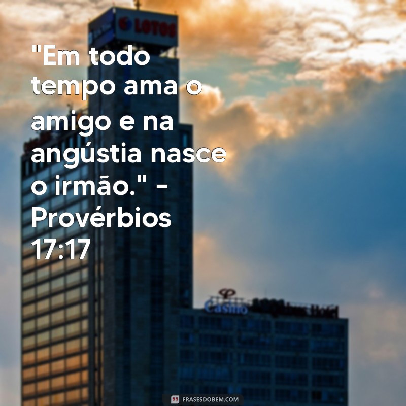 versículo de amizade na bíblia 