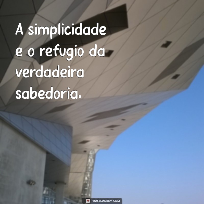 Frases Inspiradoras sobre a Lei da Vida: Reflexões para o seu Dia a Dia 