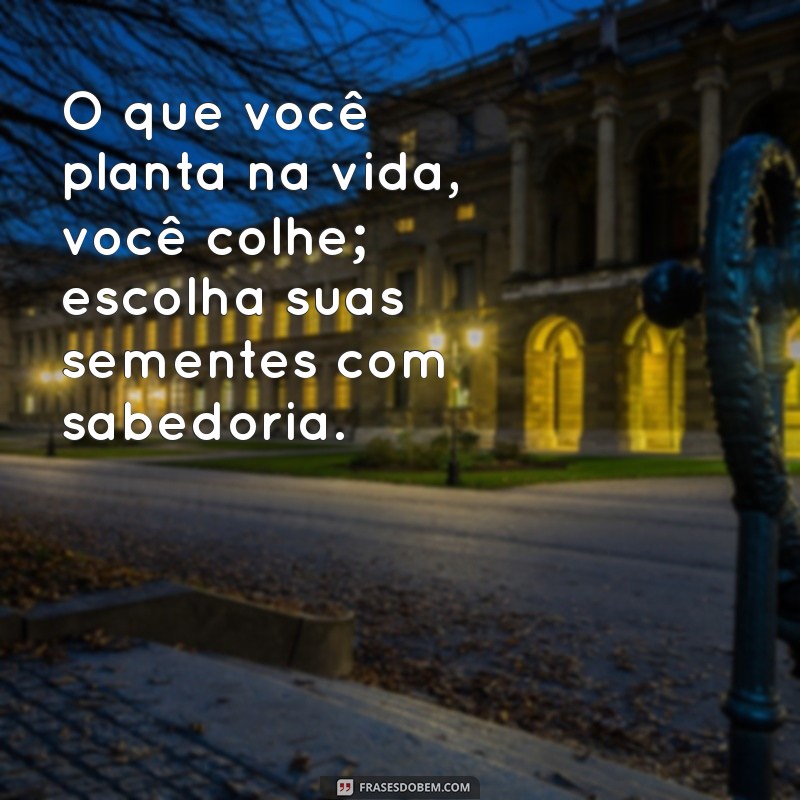 Frases Inspiradoras sobre a Lei da Vida: Reflexões para o seu Dia a Dia 