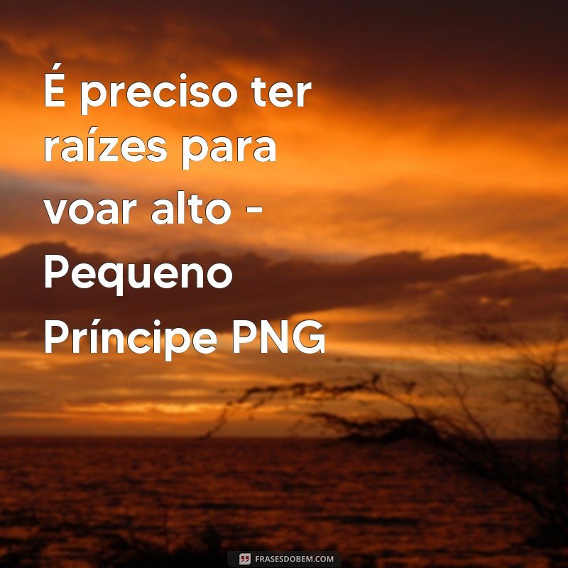 Descubra as mais belas frases do Pequeno Príncipe em formato PNG 