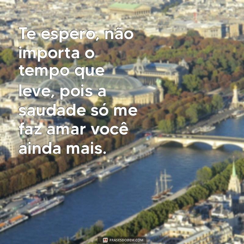 Melhores Frases de Saudades para Namorado: Inspire-se com o Estilo Tumblr 