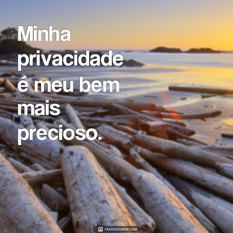 frases de privacidade Minha privacidade é meu bem mais precioso.