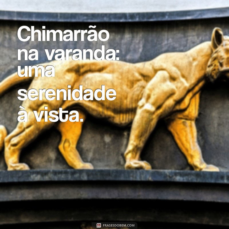 Descubra as Melhores Fotos de Chimarrão: Inspiração e Cultura Gaúcha 