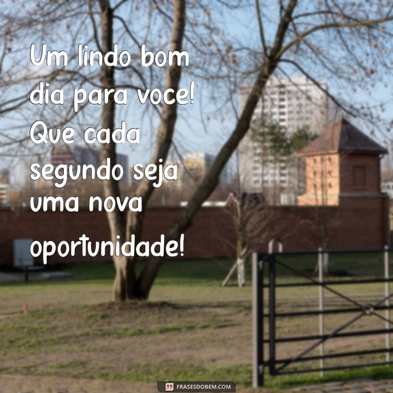 Frases Lindas de Bom Dia para Inspirar Seu Dia 