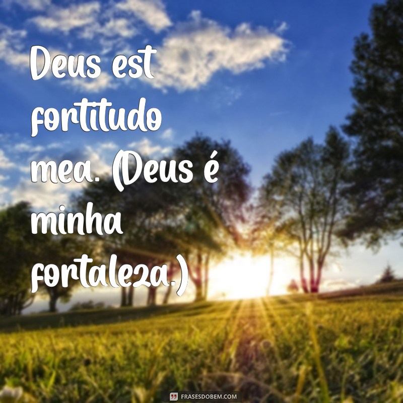 Frases em Latim sobre Deus: Sabedoria e Inspiração para sua Fé 