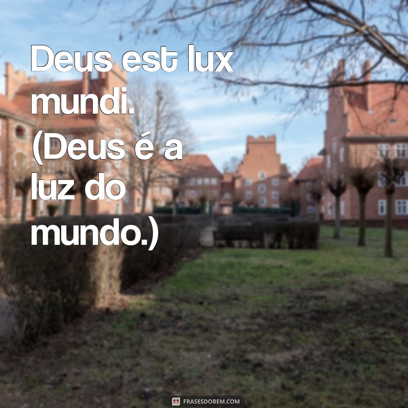 frases em latim sobre deus Deus est lux mundi. (Deus é a luz do mundo.)