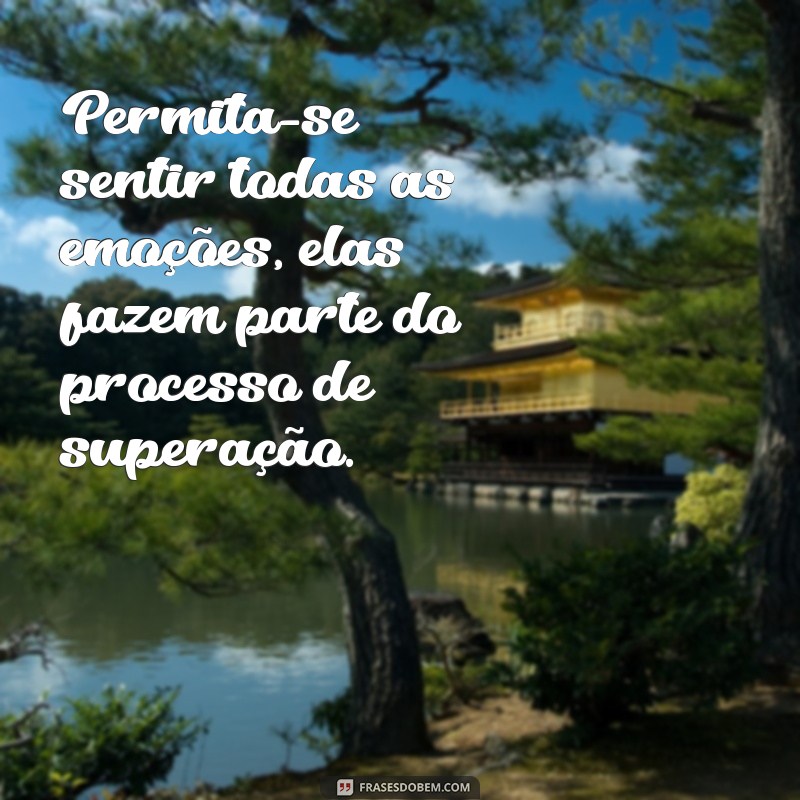 frases como superar uma separação Permita-se sentir todas as emoções, elas fazem parte do processo de superação.