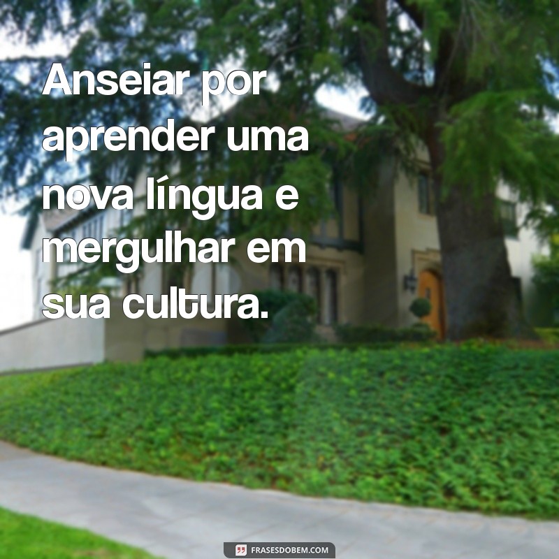 Desvendando as Vontades: Como Entender e Satisfazer Desejos Profundos 