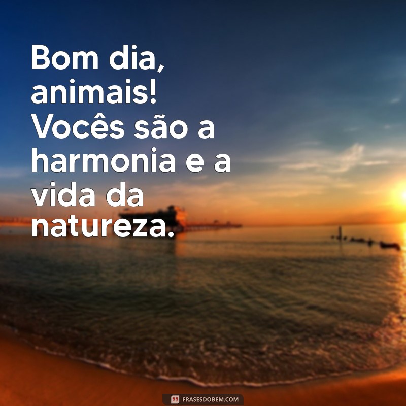 Desperte com a Natureza: Frases Inspiradoras para um Bom Dia 