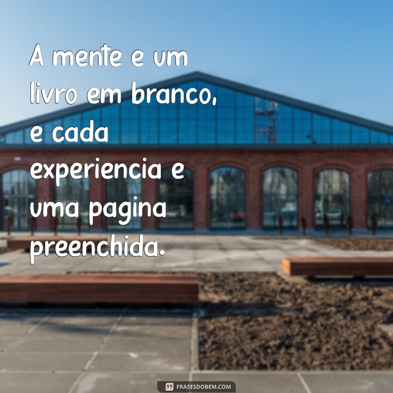 Descubra as Melhores Frases de Platão para Inspirar Sua Vida 