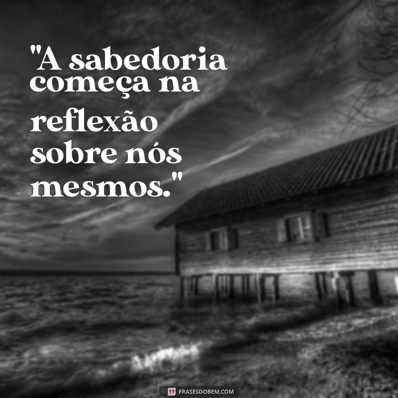 frases de platão 