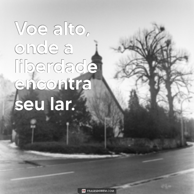 voe alto Voe alto, onde a liberdade encontra seu lar.