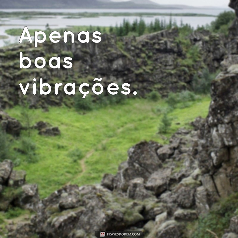 good vibes only tradução Apenas boas vibrações.