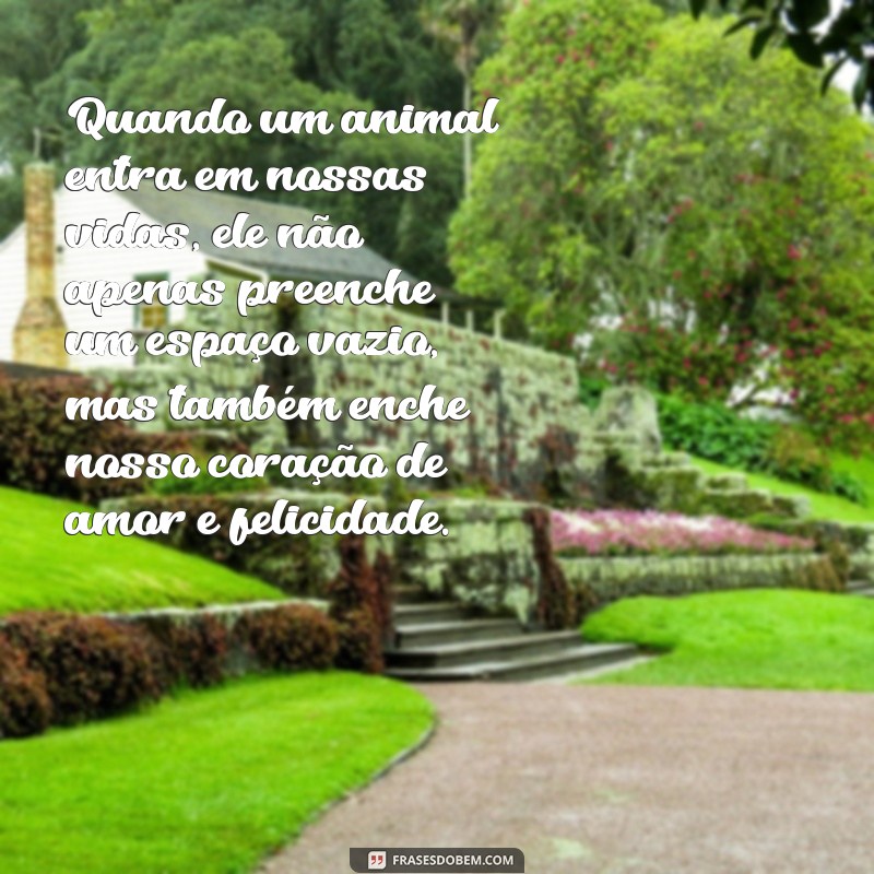 Descubra as mais belas frases de amor aos animais no Tumblr 