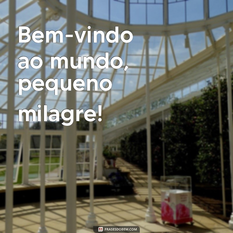 mensagens bebe recem nascido Bem-vindo ao mundo, pequeno milagre!