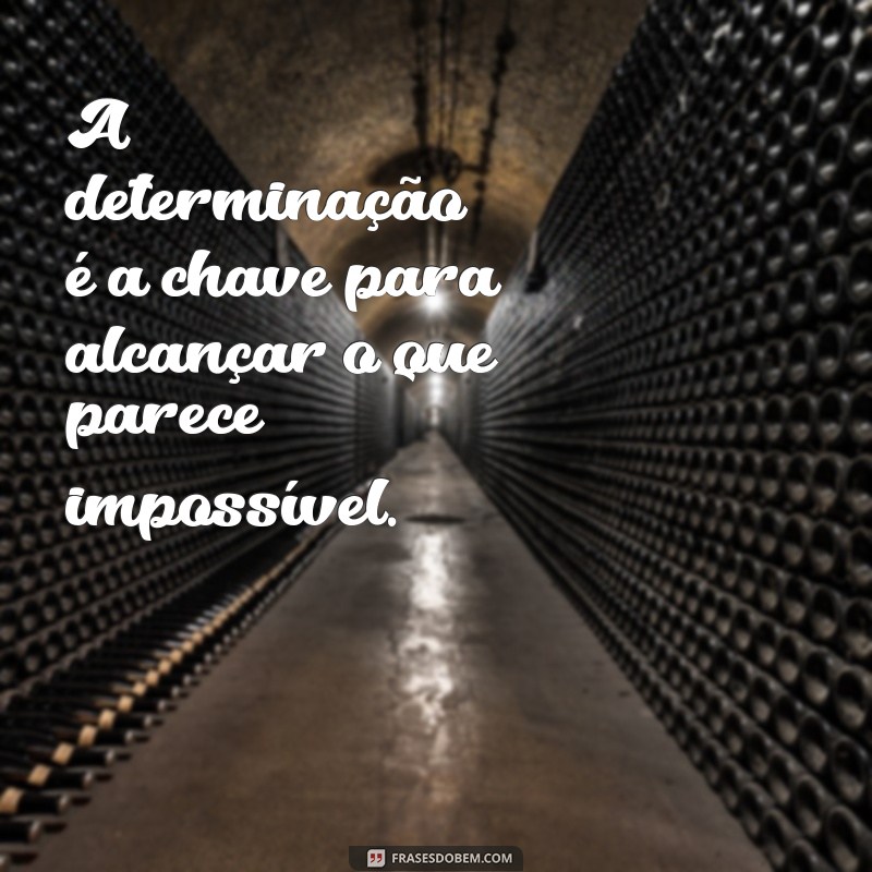 Descubra as melhores frases de determinação e coragem para inspirar sua jornada 