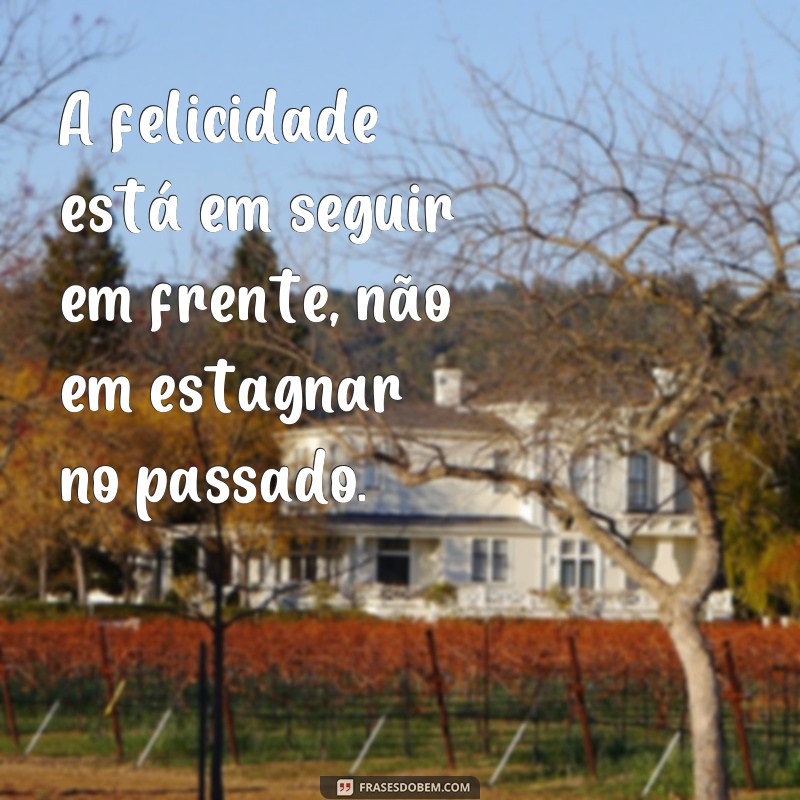 Descubra as melhores frases de vida que seguem para te inspirar 