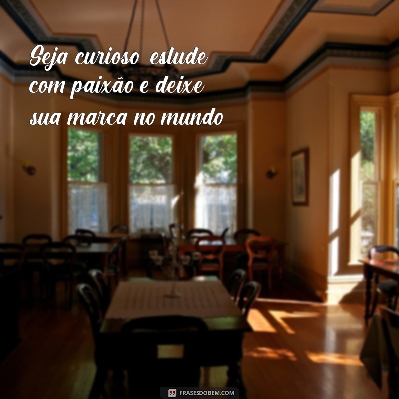 Frases Inspiradoras para Celebrar o Dia do Estudante 