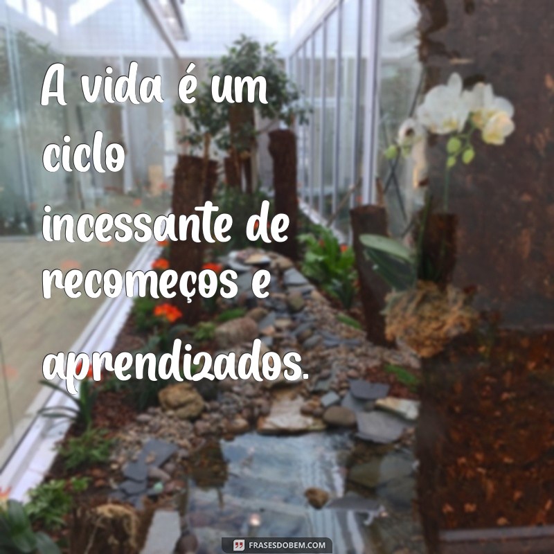 ciclos: frases A vida é um ciclo incessante de recomeços e aprendizados.