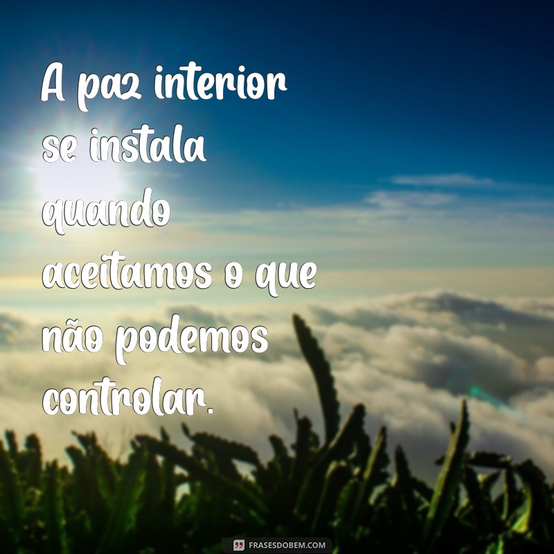 coisas incríveis acontecem quando a gente diz deus seja feita a tua vontade A paz interior se instala quando aceitamos o que não podemos controlar.