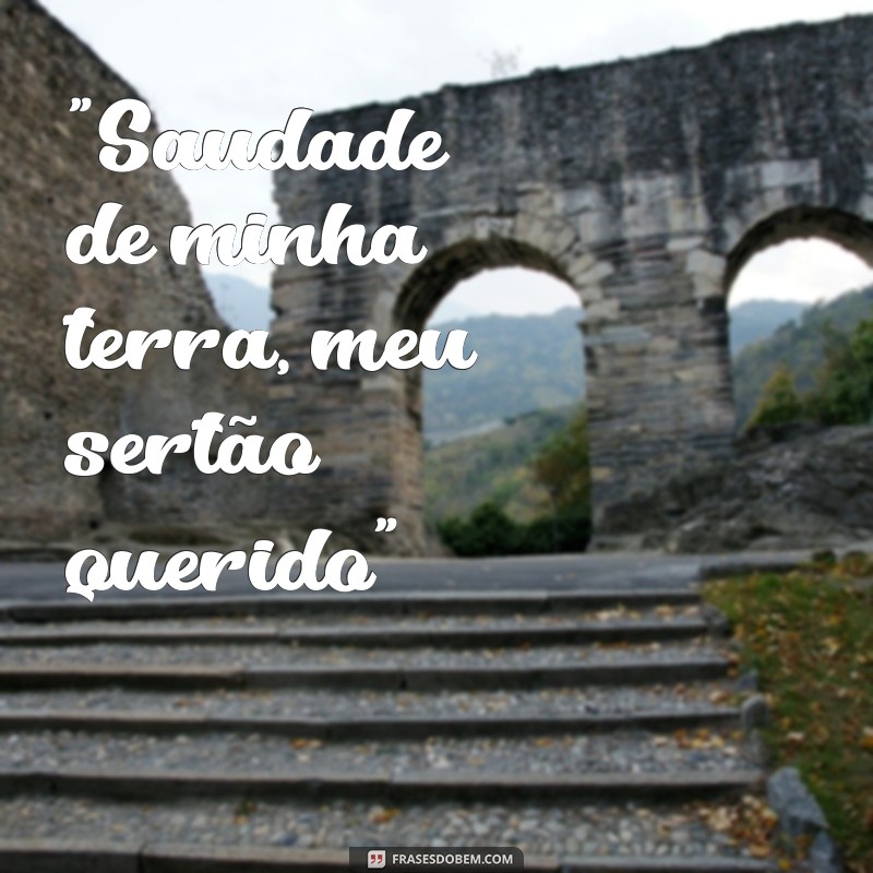 frases musicas caipiras 