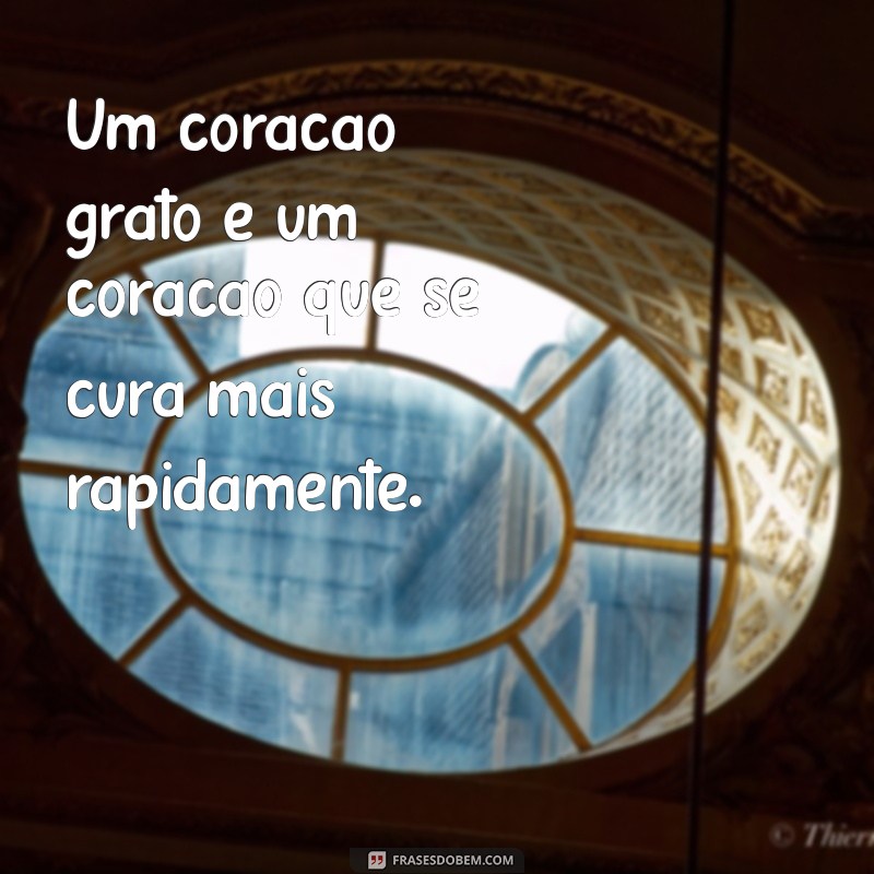 Frases Inspiradoras de Milagres de Cura: Transforme Sua Esperança em Fé 