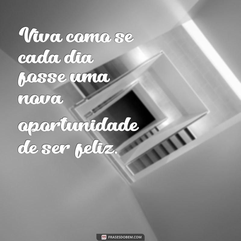 Frases Inspiradoras de Zé Pilintra: Reflexões de um Pensador 