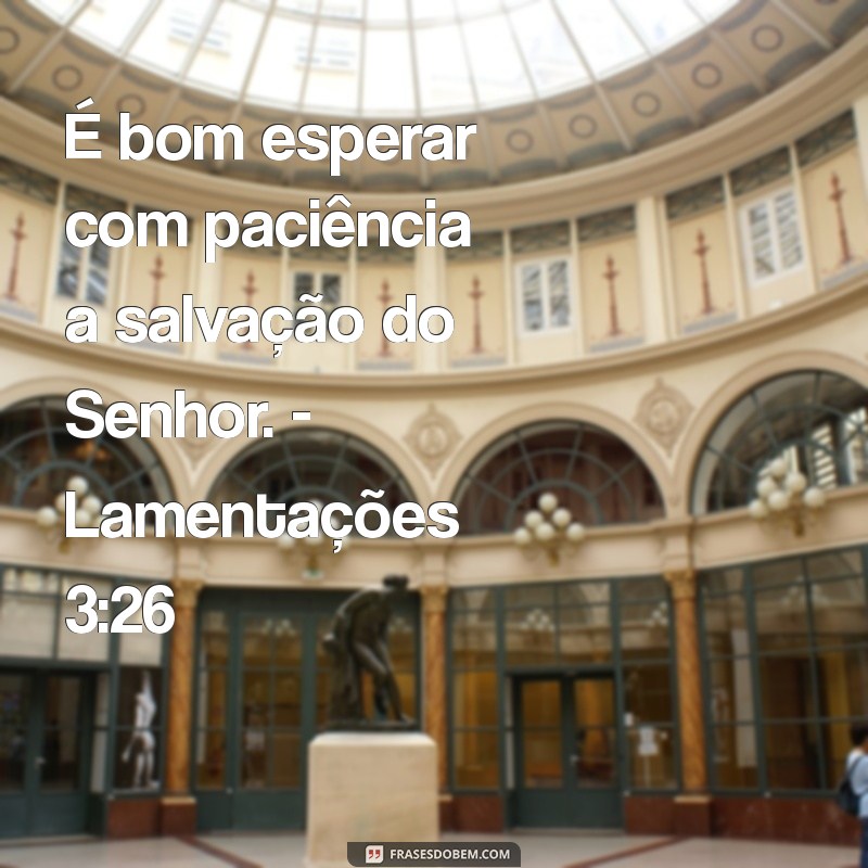 Inspire-se com as Melhores Fotos de Frases Bíblicas para Compartilhar 