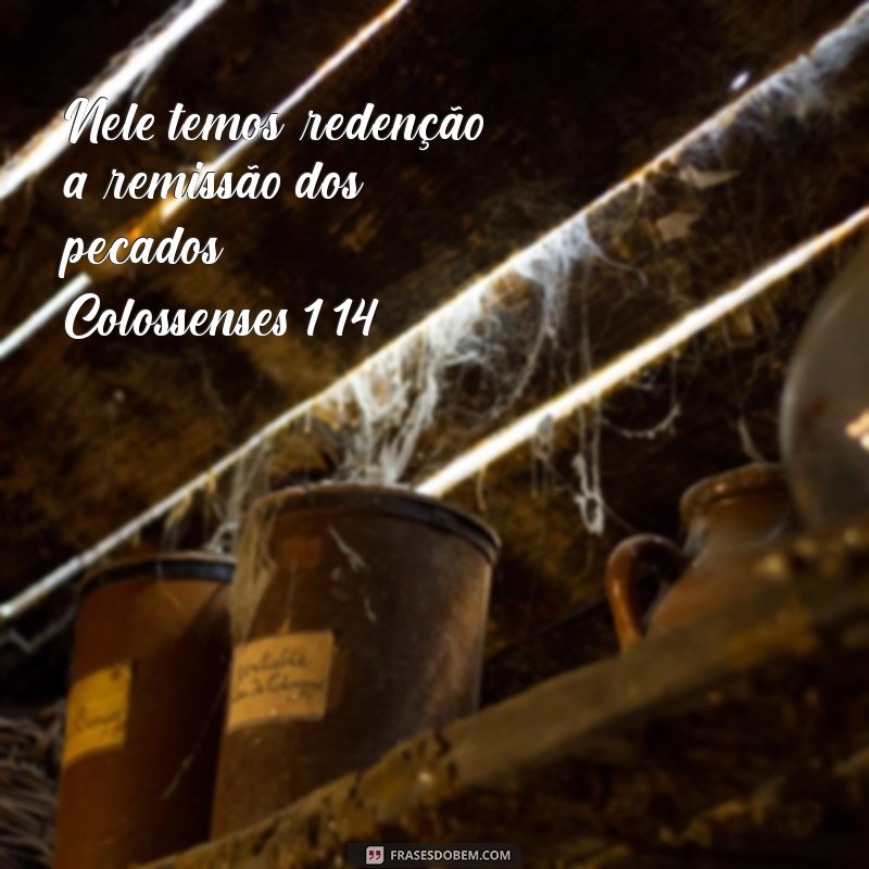 Inspire-se com as Melhores Fotos de Frases Bíblicas para Compartilhar 