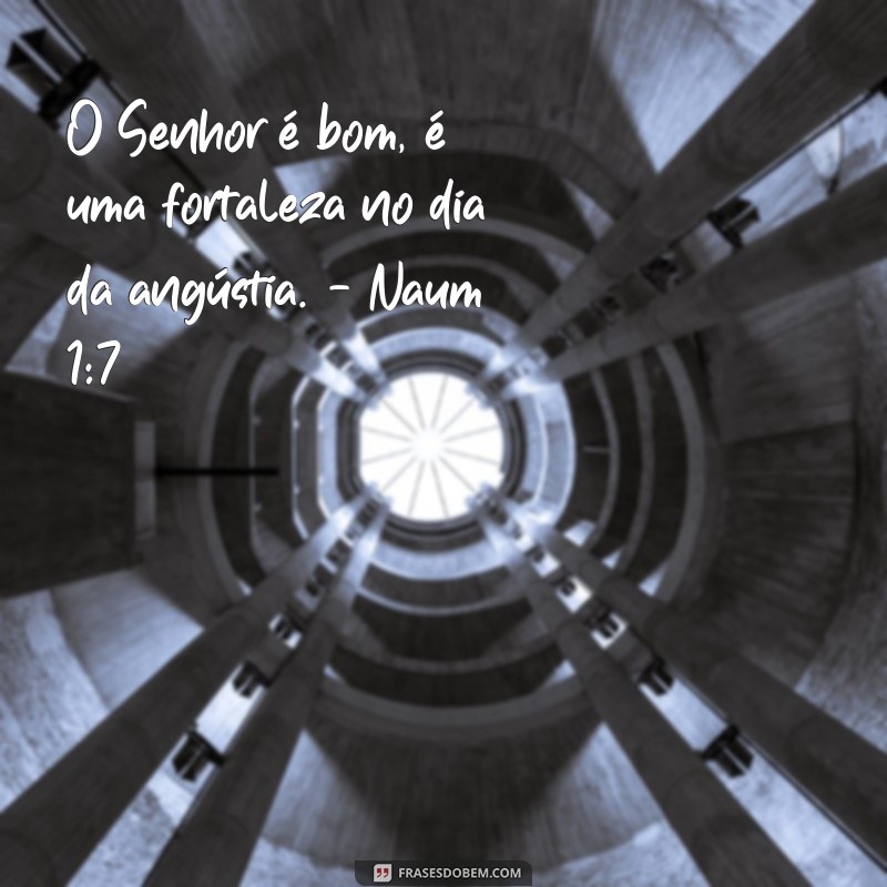 Inspire-se com as Melhores Fotos de Frases Bíblicas para Compartilhar 