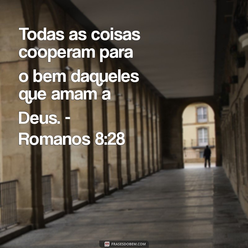 Inspire-se com as Melhores Fotos de Frases Bíblicas para Compartilhar 