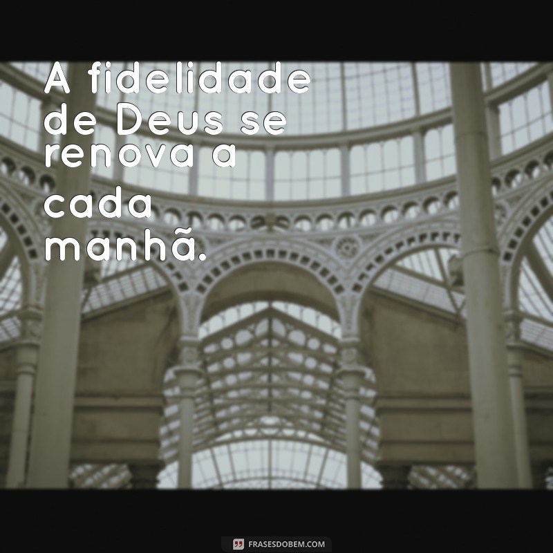 Frases Evangélicas Inspiradoras para Iluminar seu Dia 