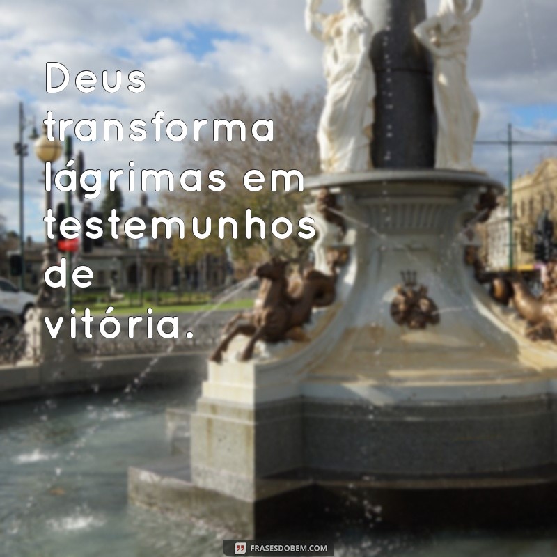 Frases Evangélicas Inspiradoras para Iluminar seu Dia 