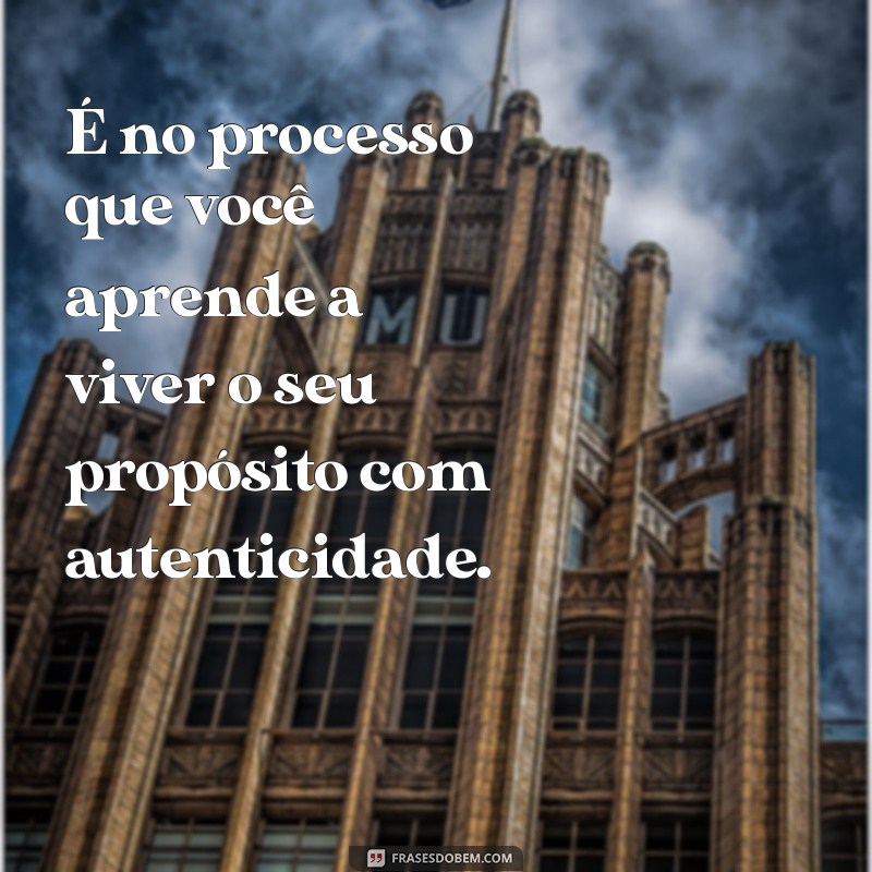 Como Apoiar seu Processo de Vida para Encontrar e Viver seu Propósito 