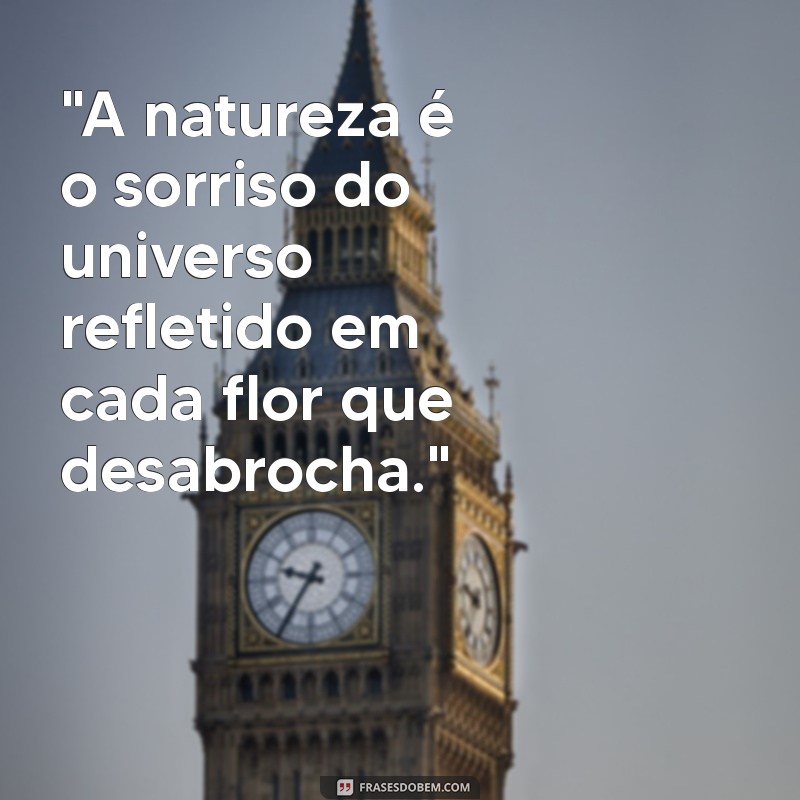 frases de beleza da natureza 