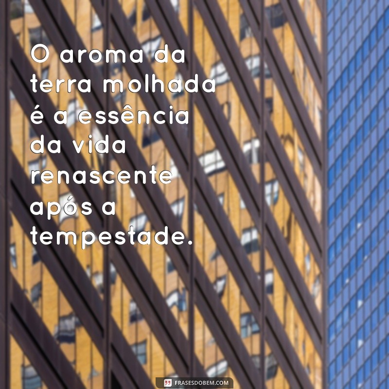 Descubra Frases Inspiradoras Sobre a Beleza da Natureza 