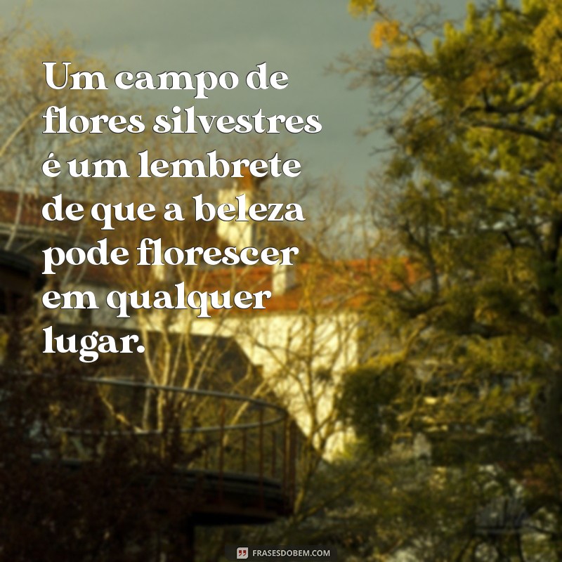 Descubra Frases Inspiradoras Sobre a Beleza da Natureza 