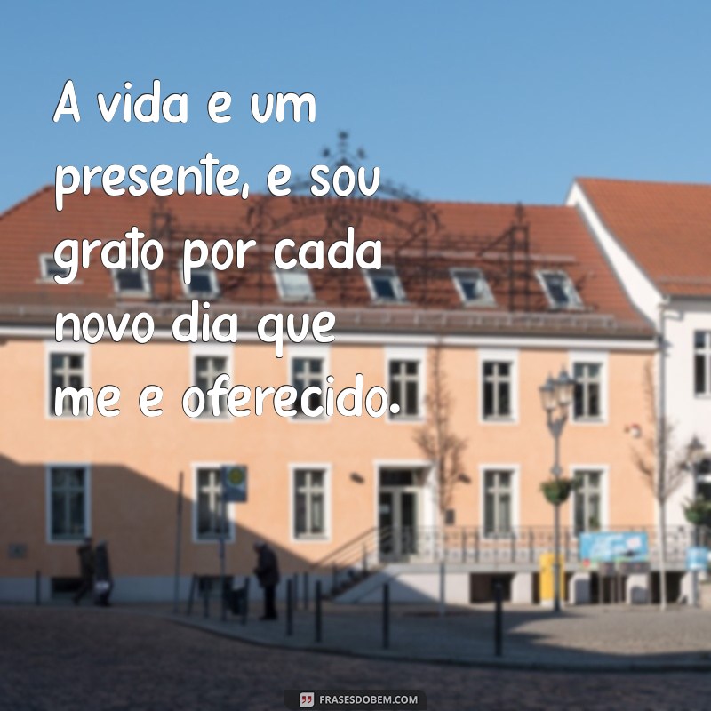 msg de gratidão pela vida A vida é um presente, e sou grato por cada novo dia que me é oferecido.